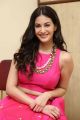 Raju Gadu Heroine Amyra Dastur Interview Photos in Pink Dress