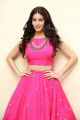 Raju Gadu Heroine Amyra Dastur Interview Photos in Pink Dress