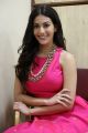 Raju Gadu Movie Actress Amyra Dastur Interview Photos