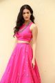 Raju Gadu Movie Actress Amyra Dastur Interview Photos