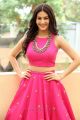 Raju Gadu Heroine Amyra Dastur Interview Photos in Pink Dress