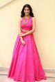 Raju Gadu Heroine Amyra Dastur in Pink Dress Photos