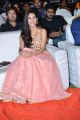 Actress Amyra Dastur @ Raju Gadu Pre Release Event Stills