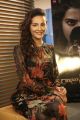 Raju Gari Gadhi 2 Heroine Seerat Kapoor Interview Photos