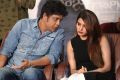 Nagarjuna, Samantha Akkineni @ Raju Gari Gadhi 2 Success Meet Stills