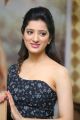 Rakshaka Bhatudu Actress Richa Panai Interview Stills