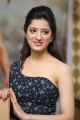 Rakshaka Bhatudu Actress Richa Panai Interview Stills