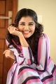 Rakshasudu Movie Heroine Anupama Parameswaran Interview Photos