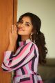 Actress Anupama Parameswaran Photos @ Rakshasudu Movie Interview