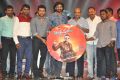 Rakshasudu Movie Audio Launch Stills