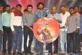 Rakshasudu Audio Launch Stills