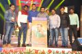 Rakshasudu Movie Audio Launch Stills