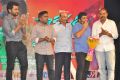 Rakshasudu Movie Audio Launch Stills