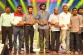 Rakshasudu Movie Audio Launch Stills