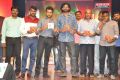 Rakshasudu Movie Audio Launch Stills