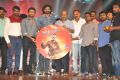 Rakshasudu Audio Launch Stills