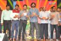 Rakshasudu Audio Launch Stills