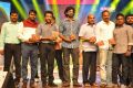 Rakshasudu Movie Audio Launch Stills