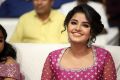 Anupama Parameswaran @ Rakshasudu Pre Release Event Photos