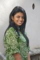 Actress Rakshita Cute Smile Photoshoot Stills