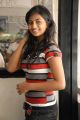 Telugu Actress Rakshitha Photos