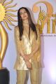 Actress Rakul Preet Photos @ International Indian Film Academy Awards 2019 Green Carpet
