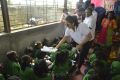 Actress Rakul Preet Birthday Celebrations at Cherish Foundation Orphanage Home Photos