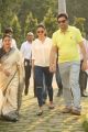 Rakul Preet Singh Flag off Apollo Hospitals EndoMarch Awareness Walk Photos