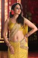 Actress Rakul Preet Singh Hot Pics in Winner Movie