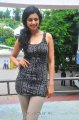 Rakul Preet Singh Photo Shoot Pics