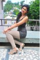 Rakul Preet Singh Photo Shoot Pics