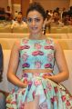 Actress Rakul Preet Singh @ Pandaga Chesko Success Meet