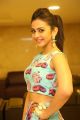 Rakul Preet Singh Stills at Pandaga Chesko Success Meet