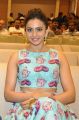 Actress Rakul Preet Singh @ Pandaga Chesko Success Meet