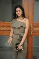 Rakul Preet Singh Photo Shoot Pics