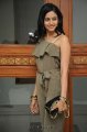 Rakul Preet Singh Photo Shoot Pics