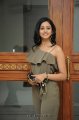 Rakul Preet Singh Photo Shoot Pics