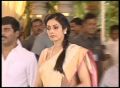 Sridevi at Ram Charan Teja and Upasana Wedding Photos