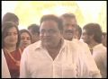 Ambarish at Ram Charan Teja and Upasana Wedding Photos