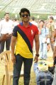 Ram Charan Teja New Pics