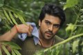 Ram Charan Stills in Racha