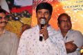 Ram Leela Movie Audio Success Meet Stills