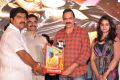 Ram Leela Movie Audio Success Meet Stills