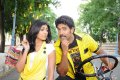 Ramachari Telugu Movie Stills