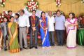 Producer M Ramanathan Daughter Saranya Wedding Reception Photos