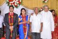 Producer M Ramanathan Daughter Wedding Reception Photos