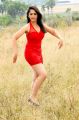 Actress Nidhi in Ranam 2 Telugu Movie Stills