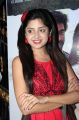 Actress Poonam Kaur at Ranam Movie First Look Launch Photos