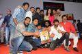 Rangasthalam 100 Days Celebrations Stills