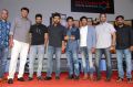 Rangasthalam Movie 100 Days Celebrations Stills